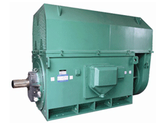 永发镇Y系列6KV高压电机一年质保